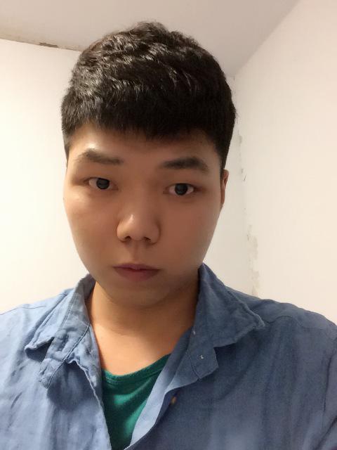 会飞的小猪