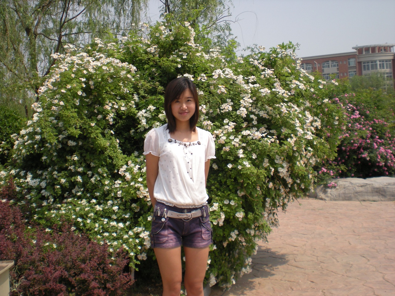 wenwen