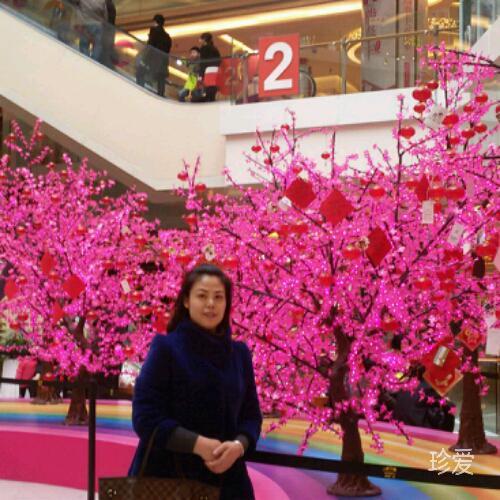 未来在哪里四川