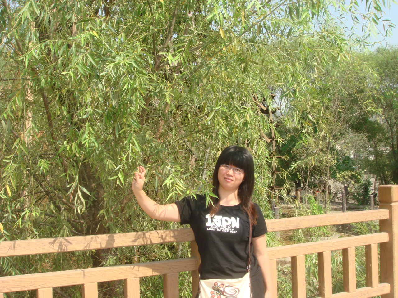 會(huì)員50286012