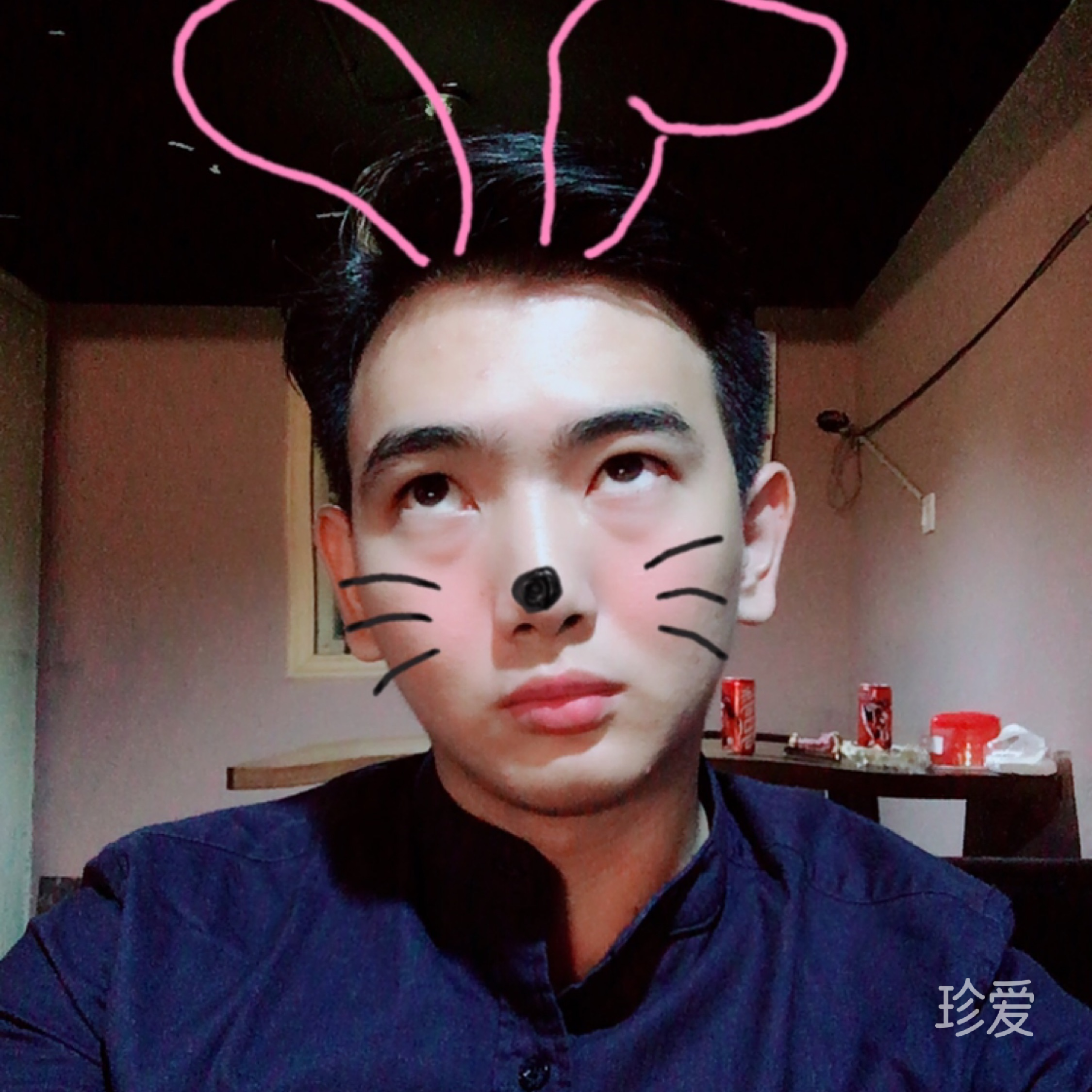 vicx