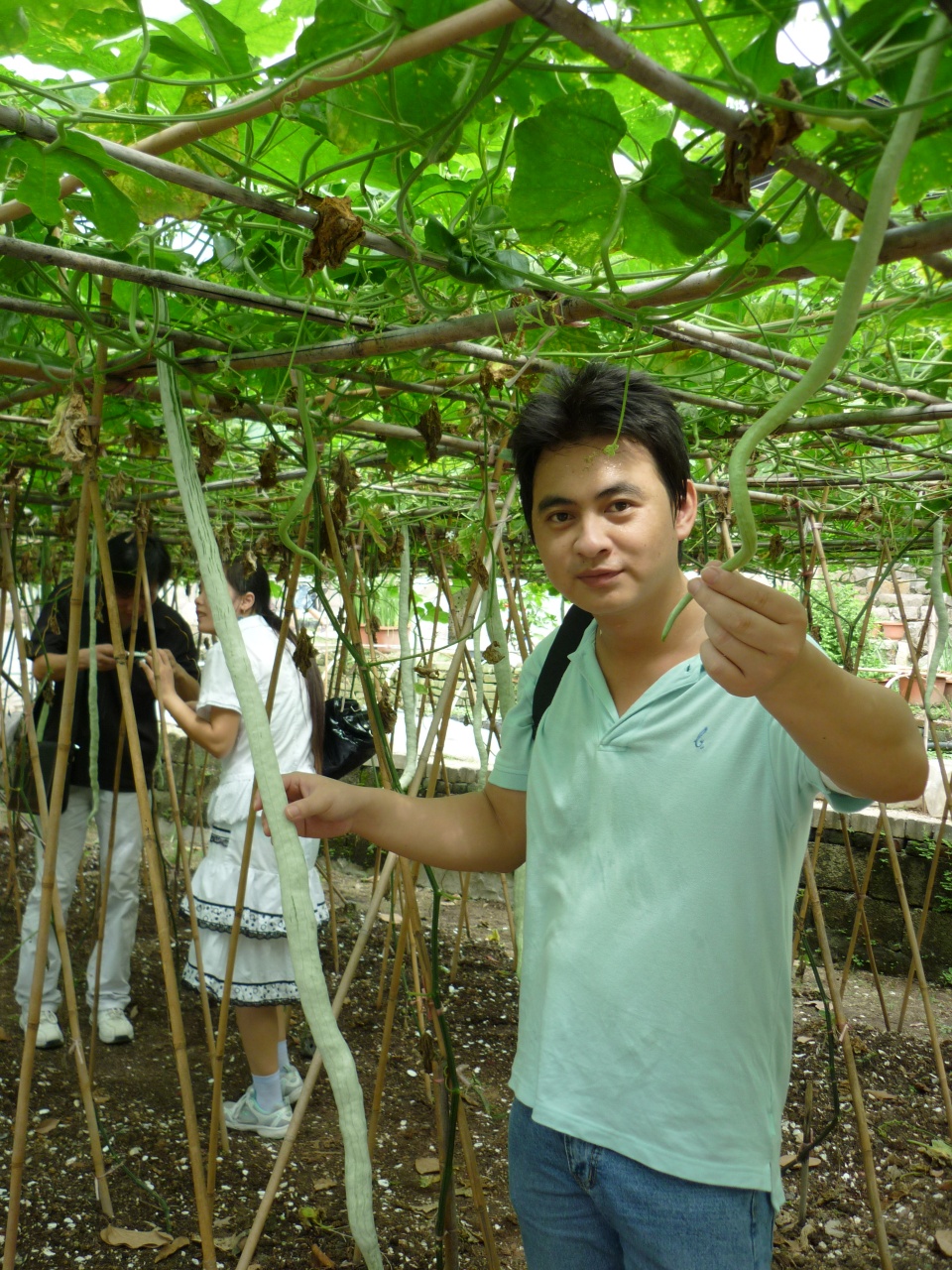 會(huì)員50993643