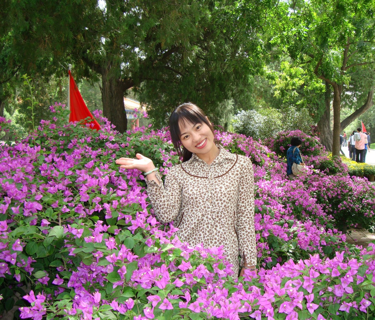 红衣小女??
