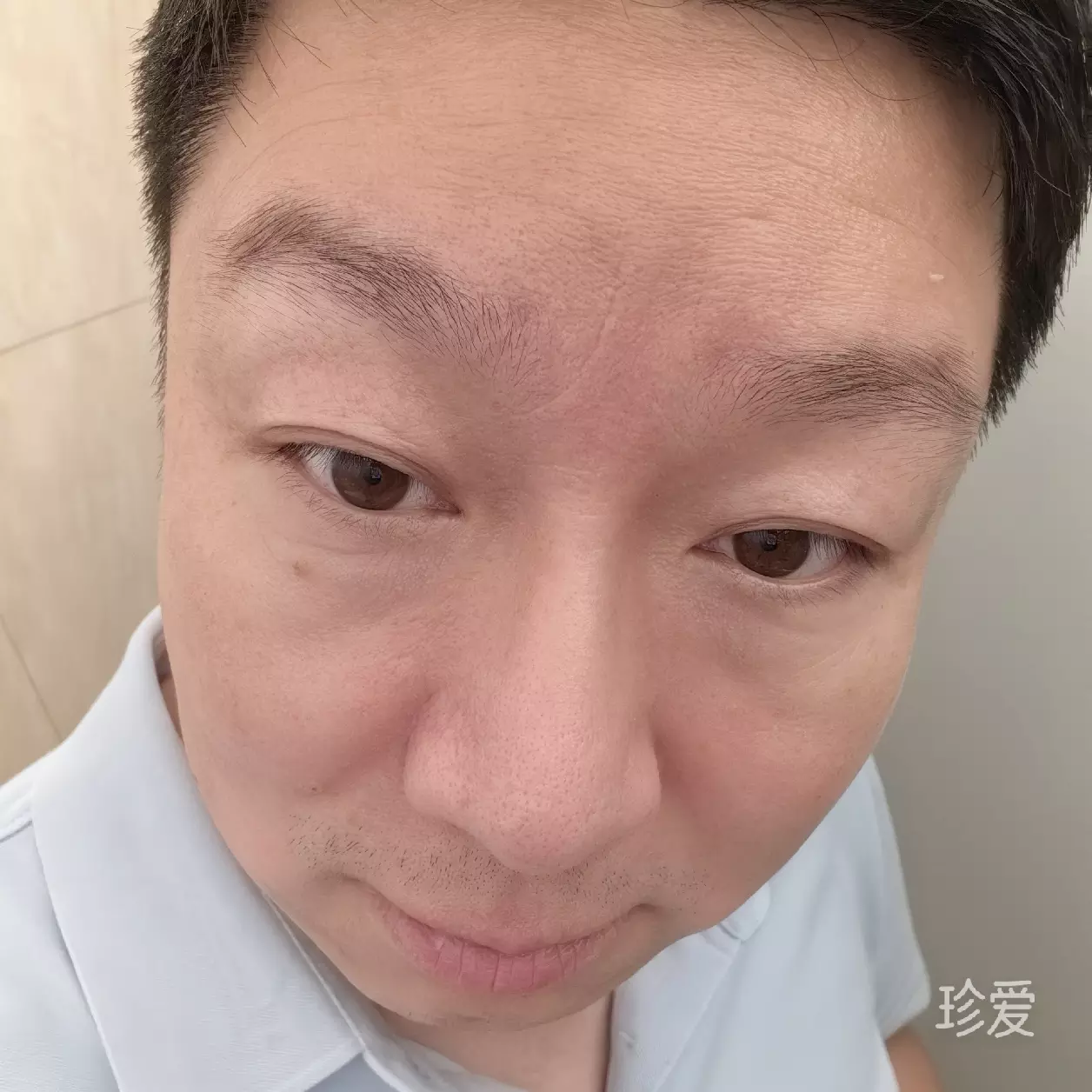 世界和平