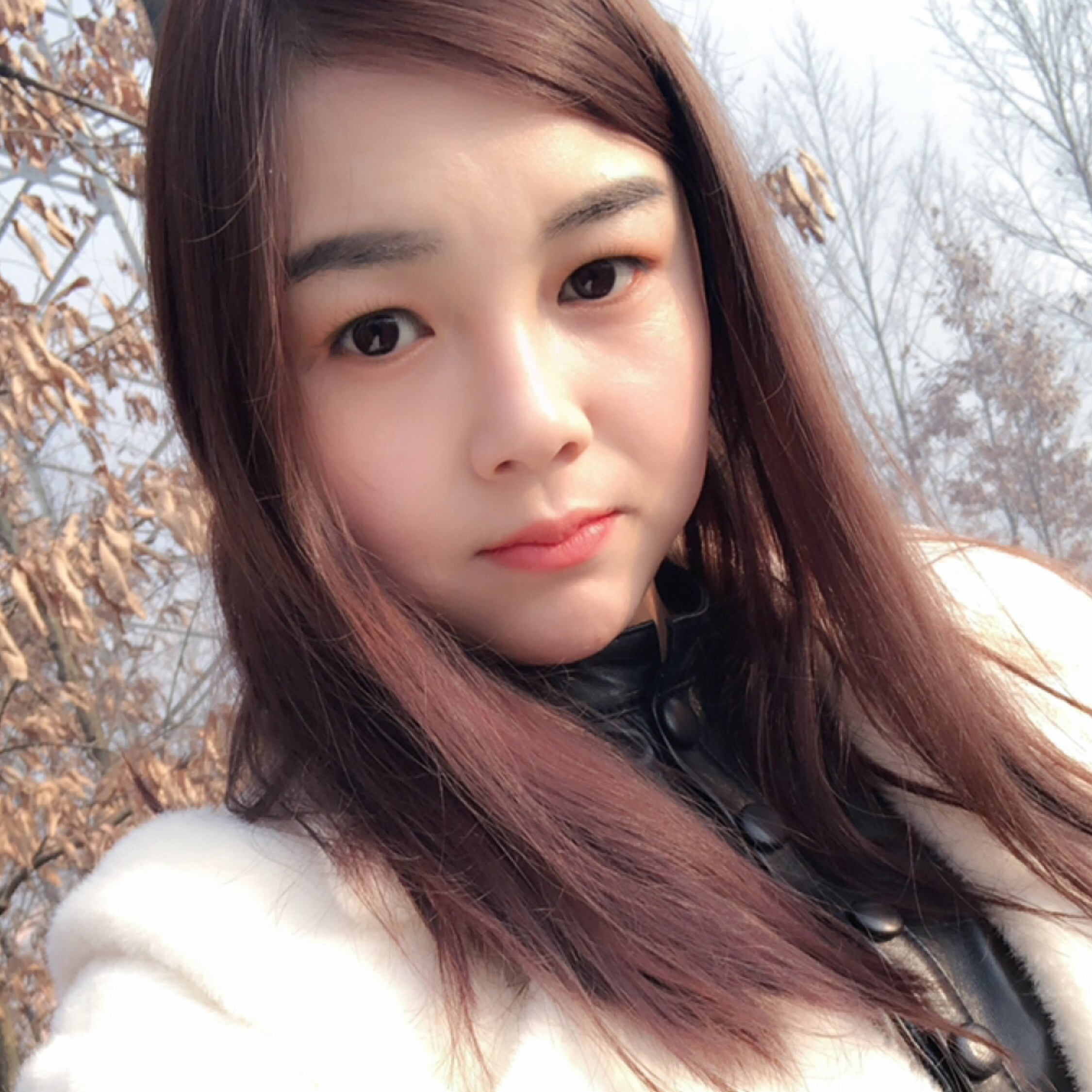 琵琶