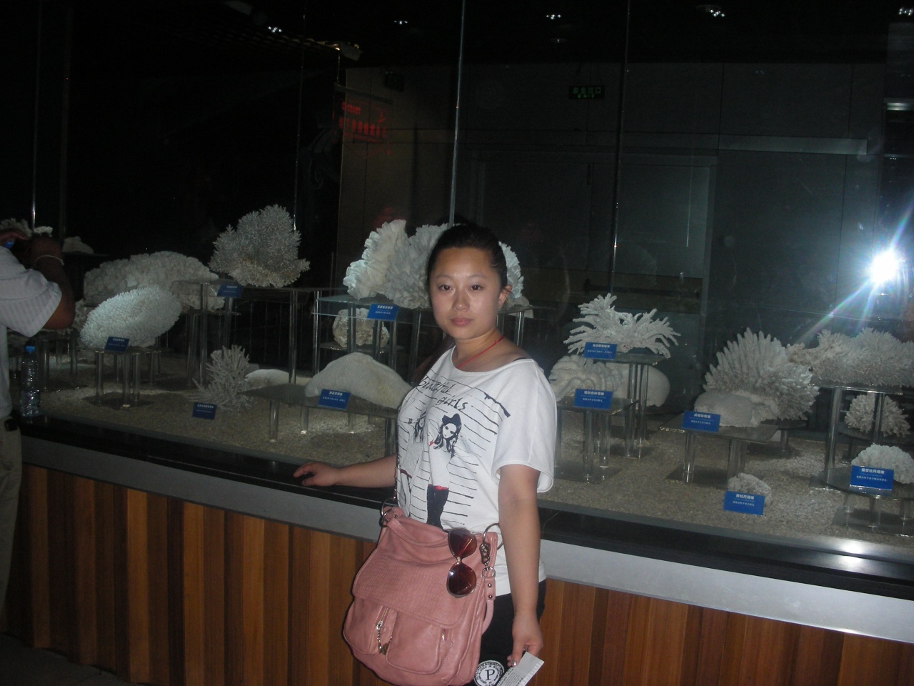 會(huì)員51820192