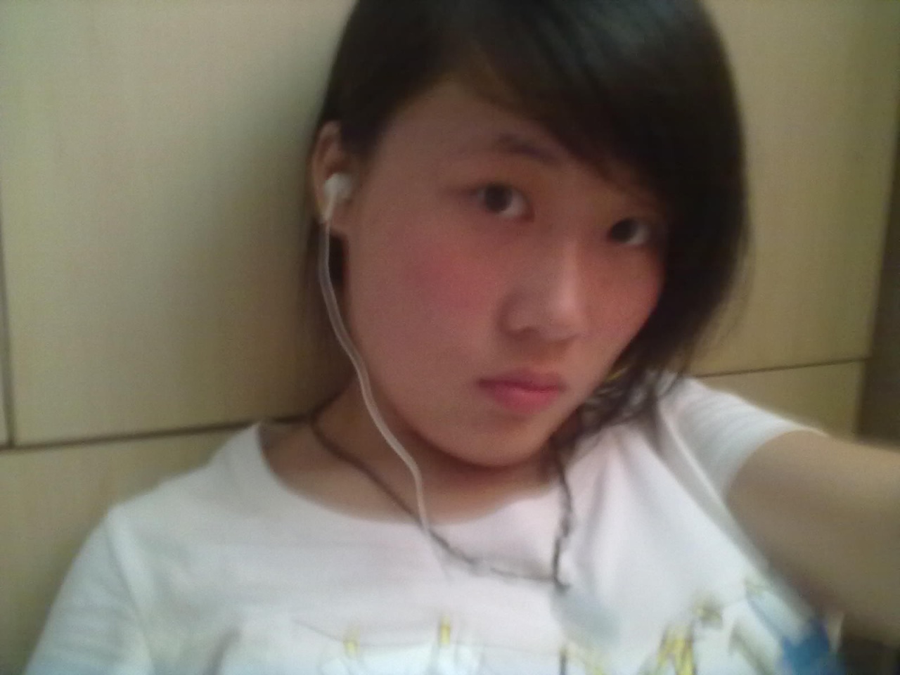 會(huì)員52053300