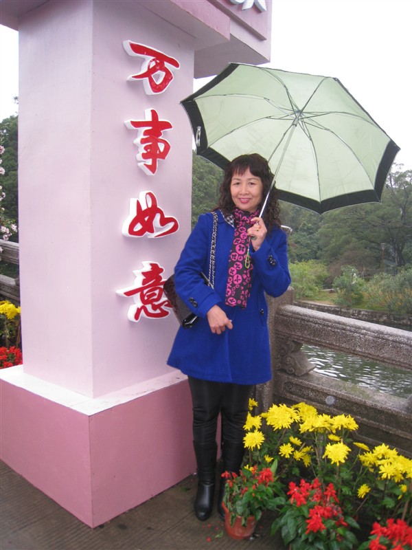 人生若只如初??