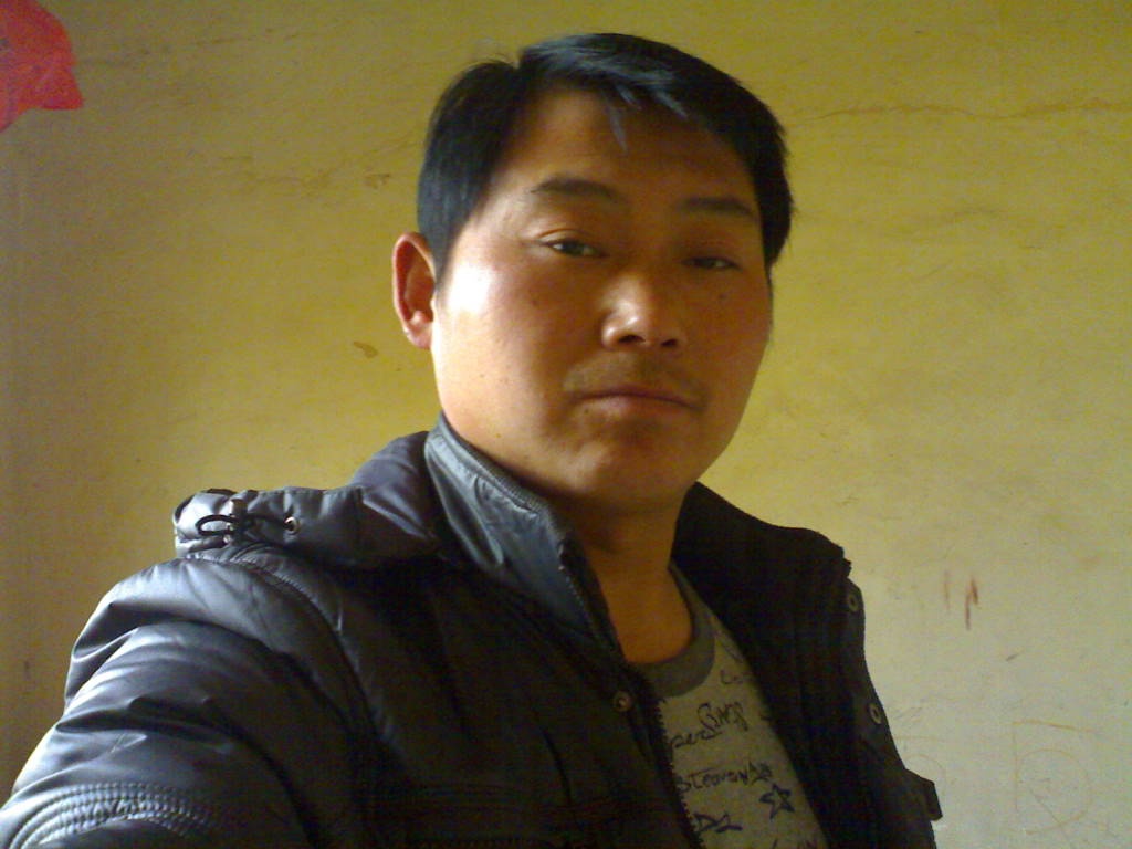 与绿叶共鸣