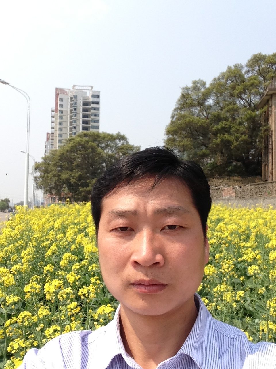 会员52288166