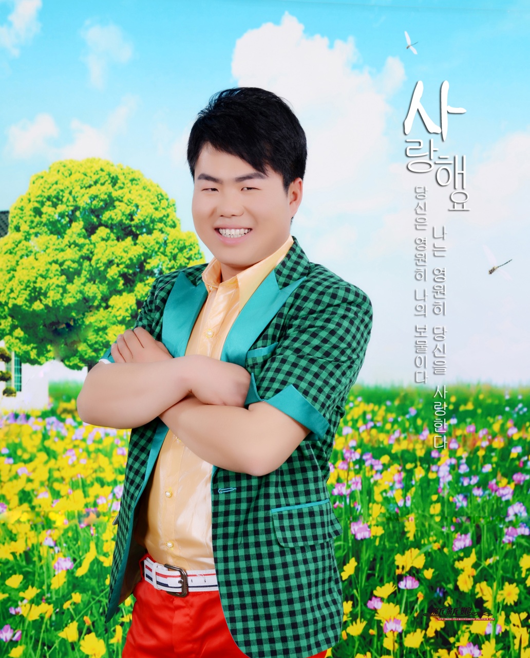 柳暗花明又一??