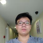 樹(shù)上的猴子