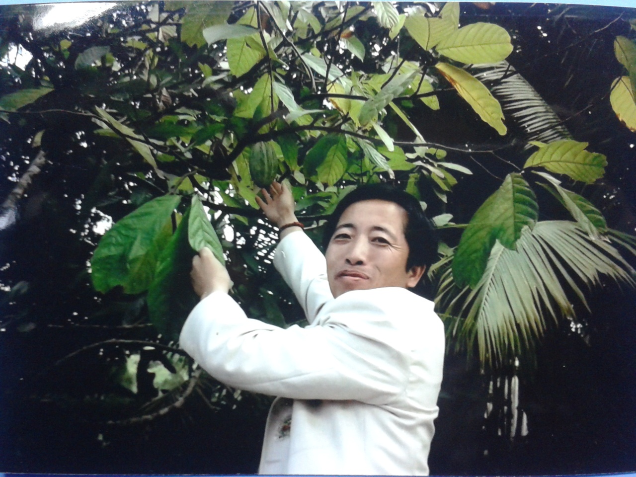豪客