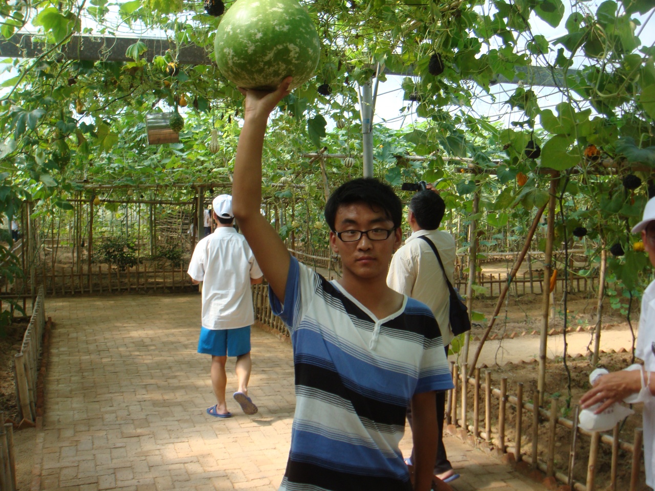 會(huì)員52834077