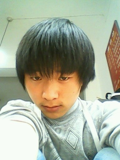 会员52909552