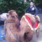 會(huì)員52917889