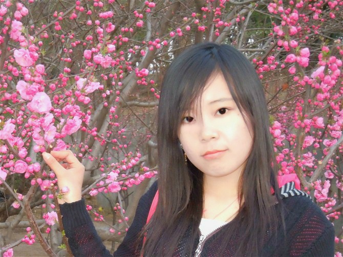 會(huì)員53020500