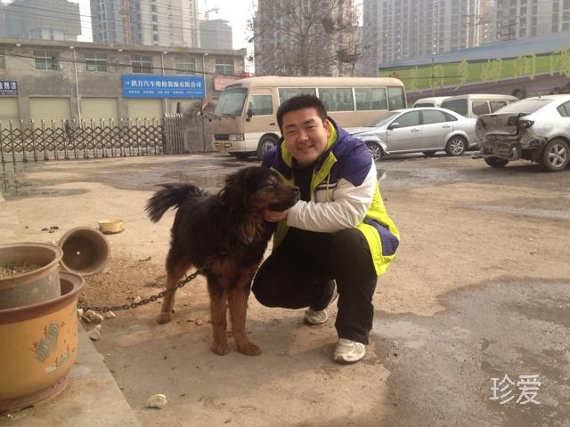 陈子超