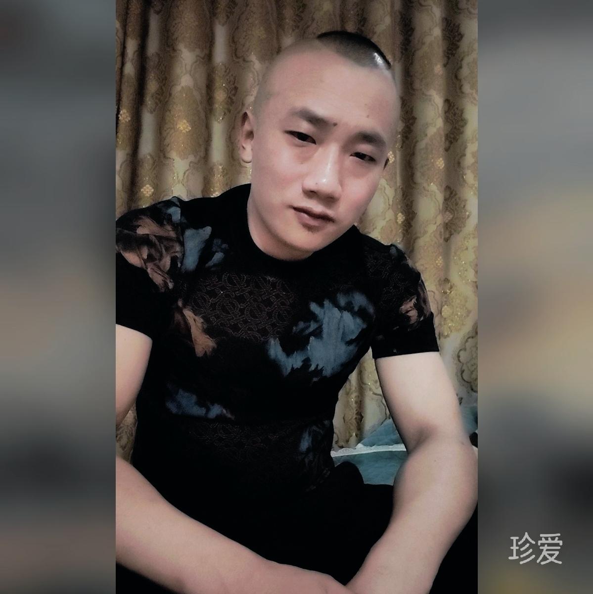 如风逸梦
