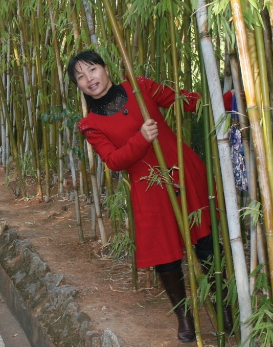 會(huì)員53492078