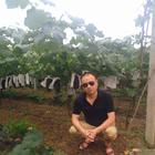 為愛(ài)而來(lái)