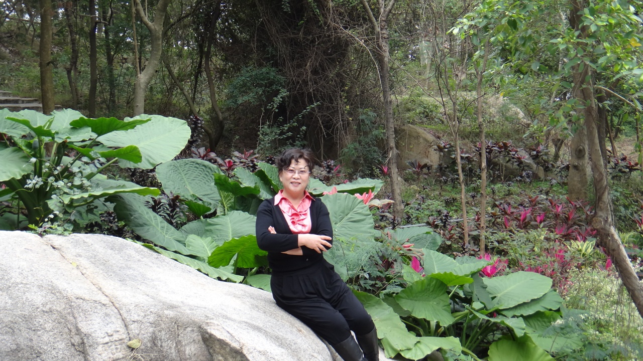 會(huì)員54216686