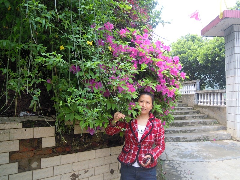 會(huì)員54224081