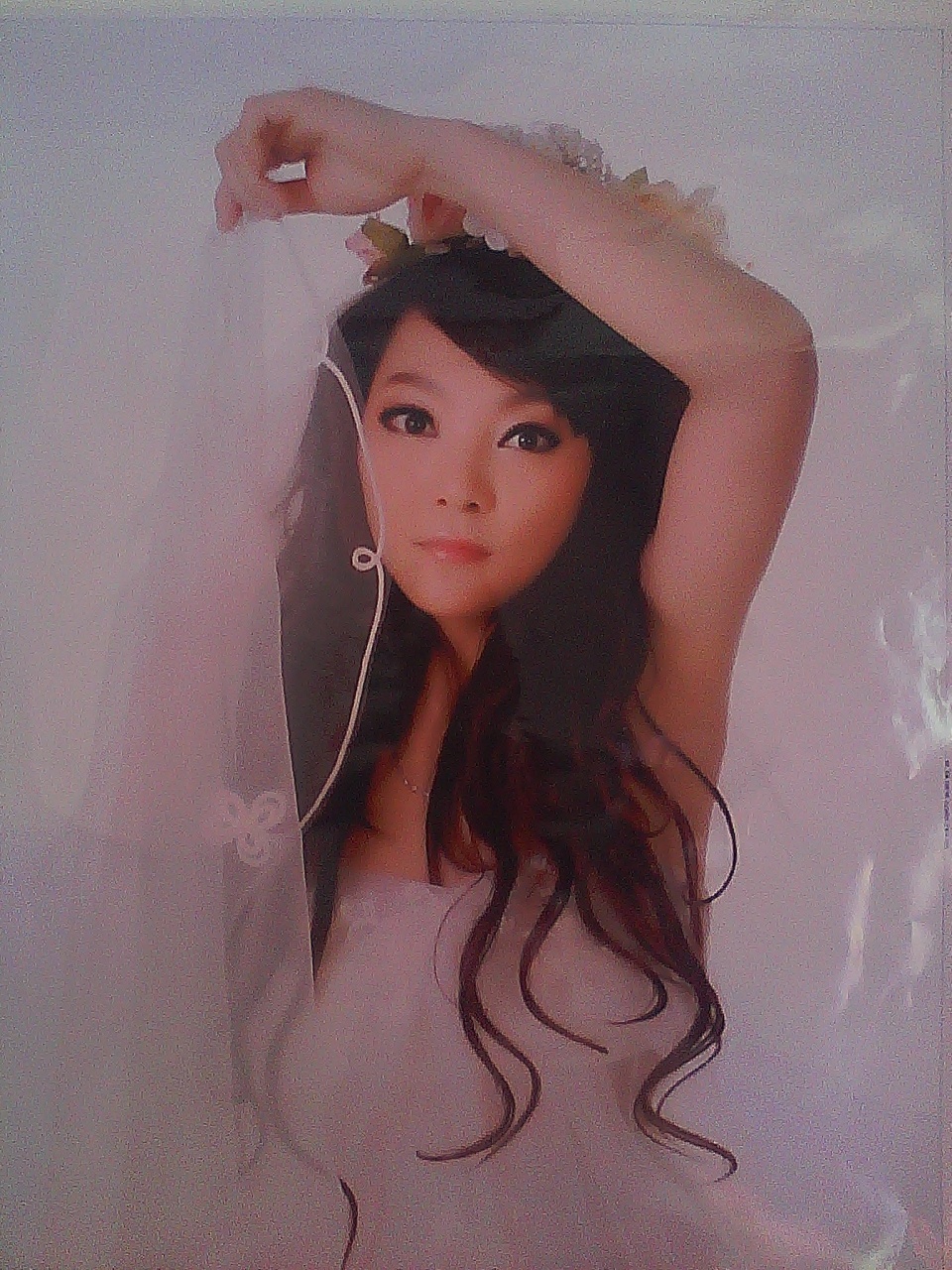 會(huì)員54543954