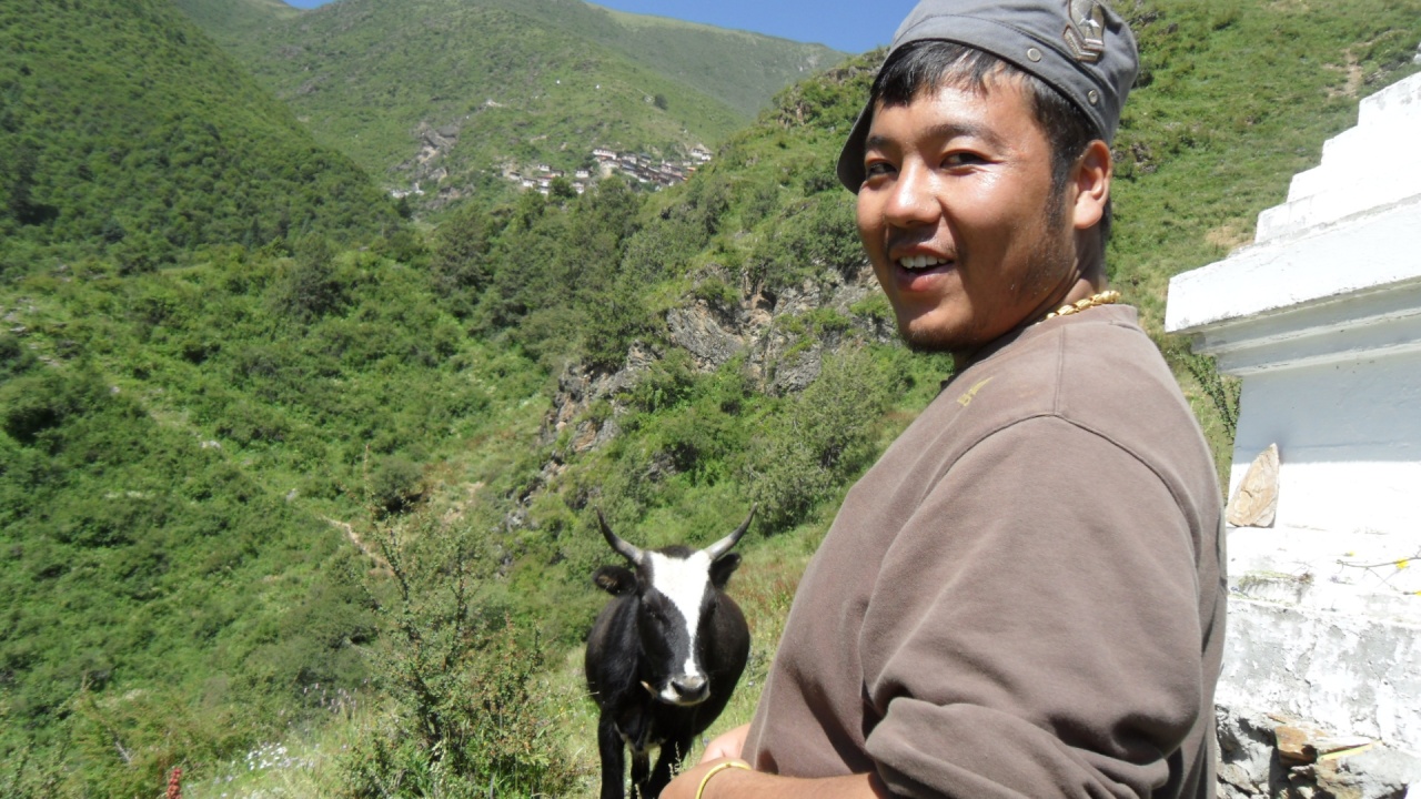 會(huì)員54611830