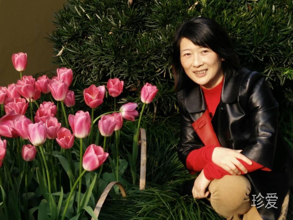 风中摇弋紫藤花