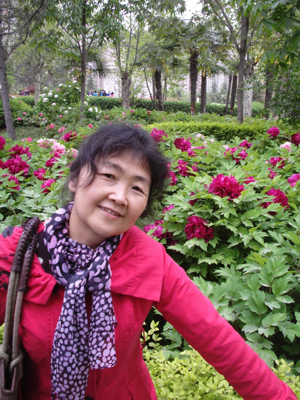 會(huì)員55955272