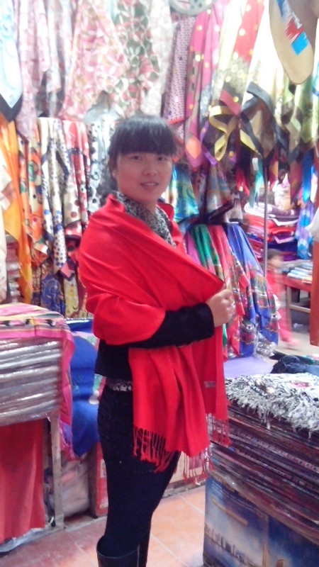 人生若只如初見