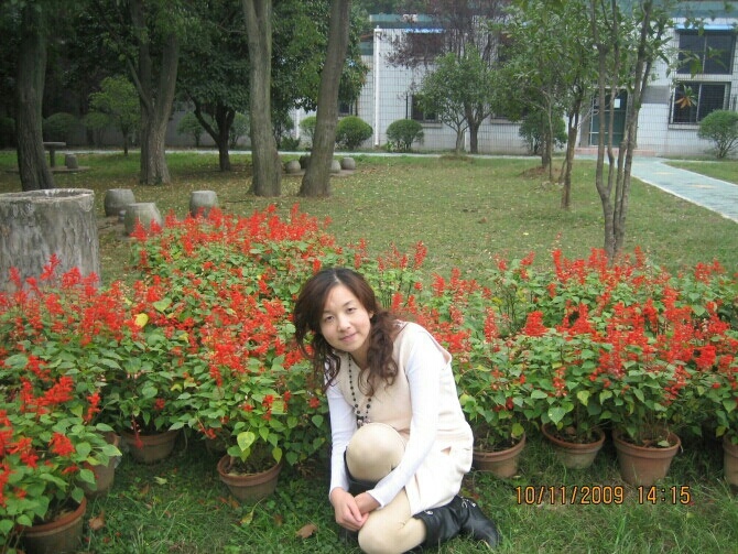 芹芹
