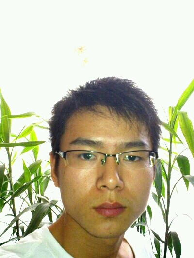 习惯一个人