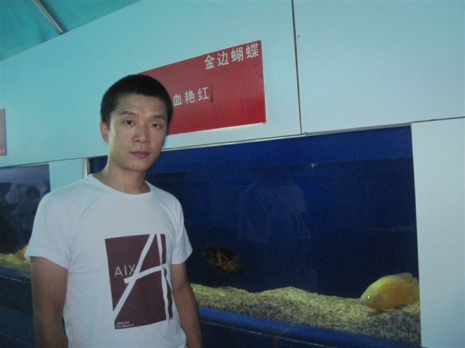 小鱼儿
