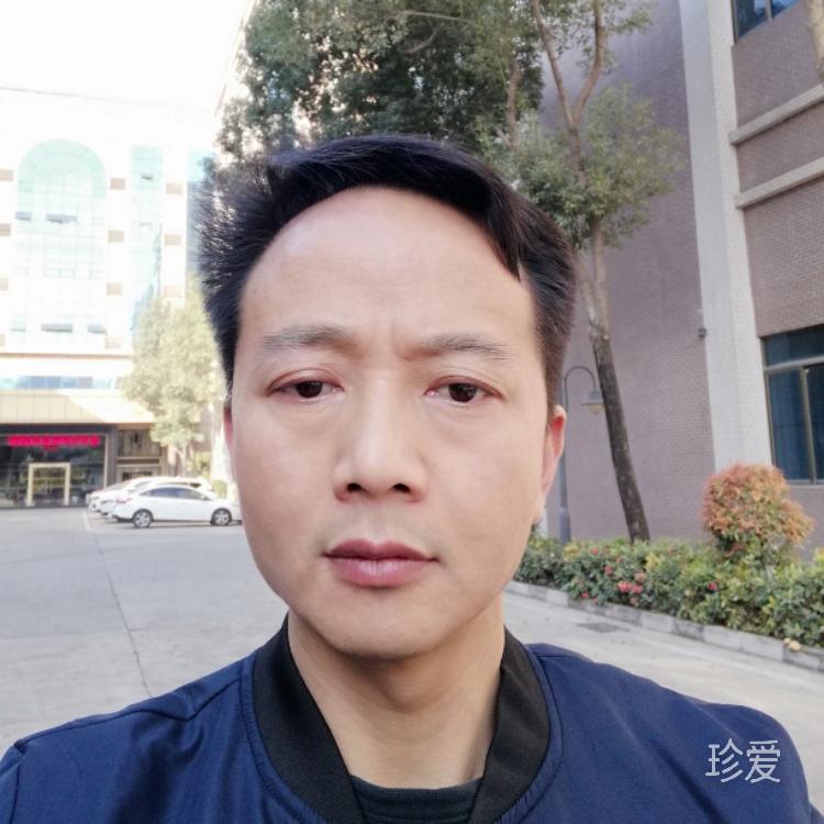 月是故乡的明