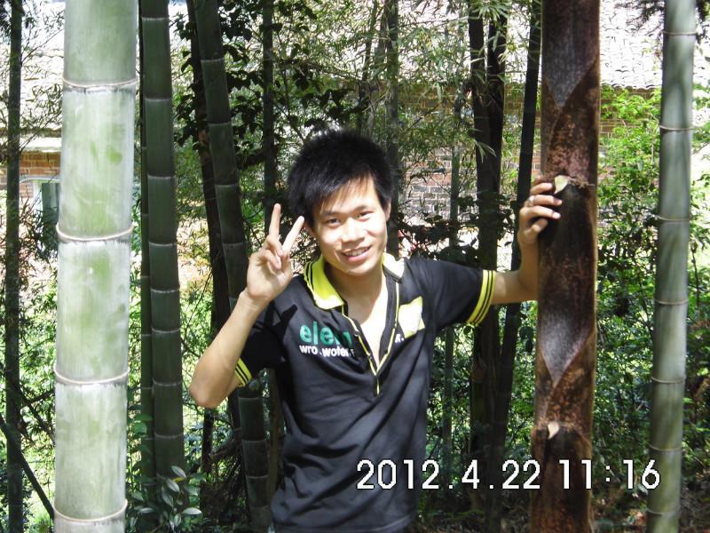 有缘千里来寻卿