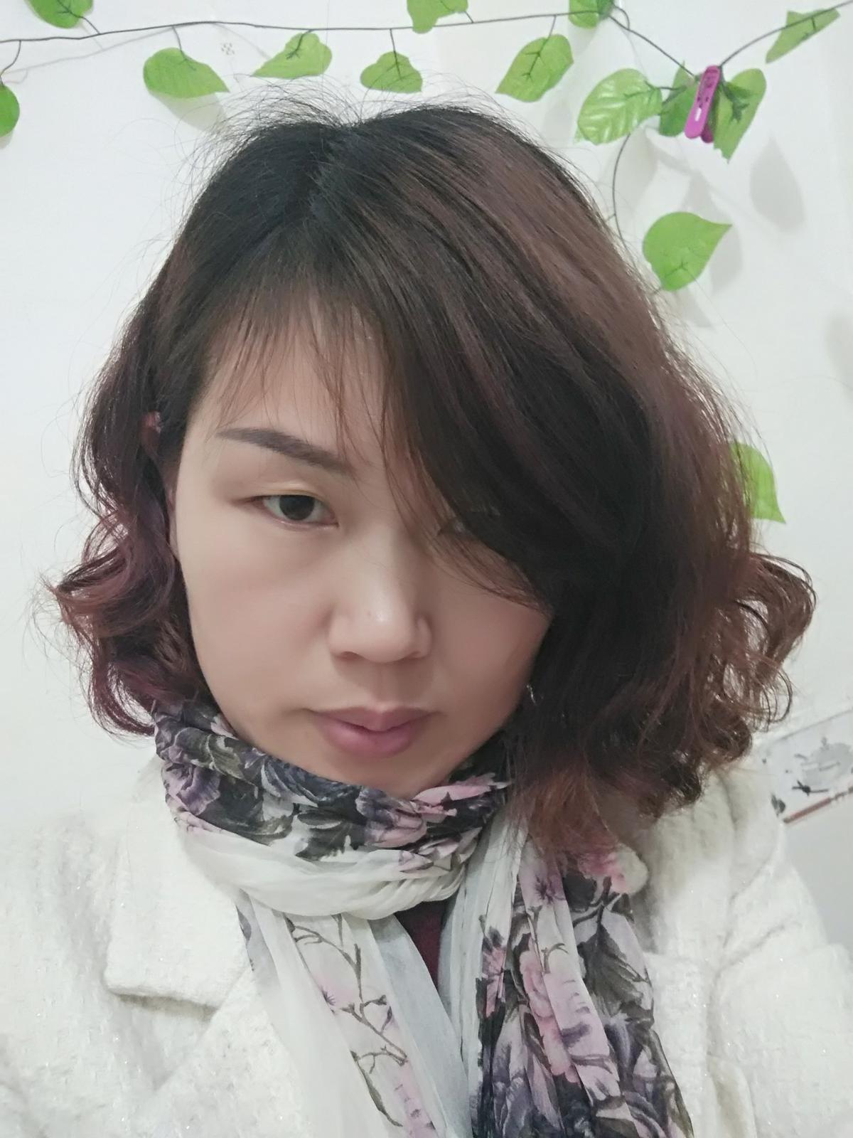 胡同里的猫