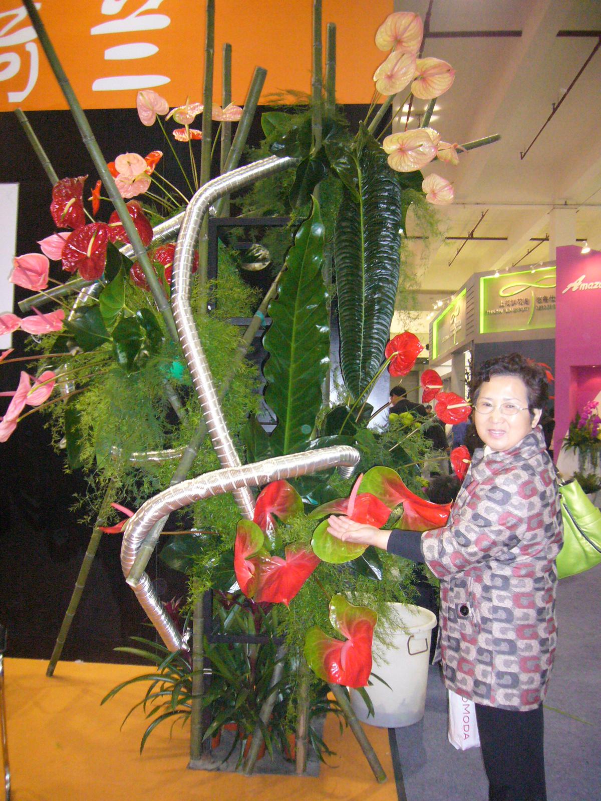 我给老妈找个伴儿