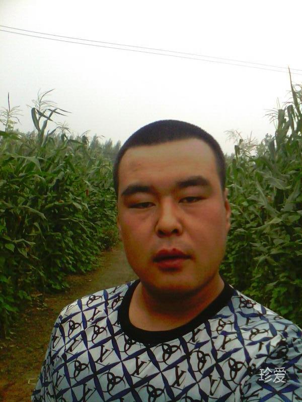 叶落知秋