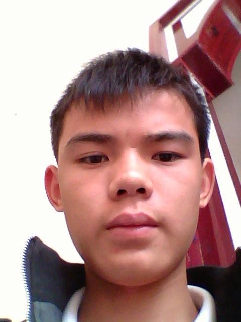 向來緣淺奈何情深