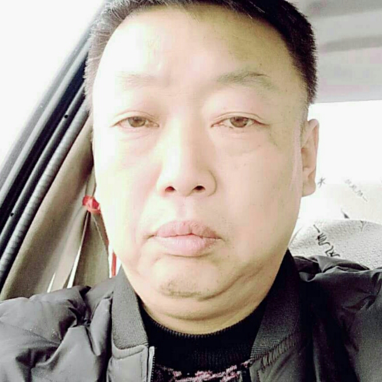 秋風不懂落葉情