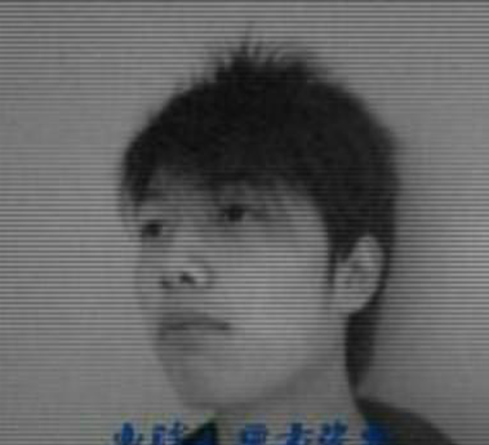 情感的禁區(qū)