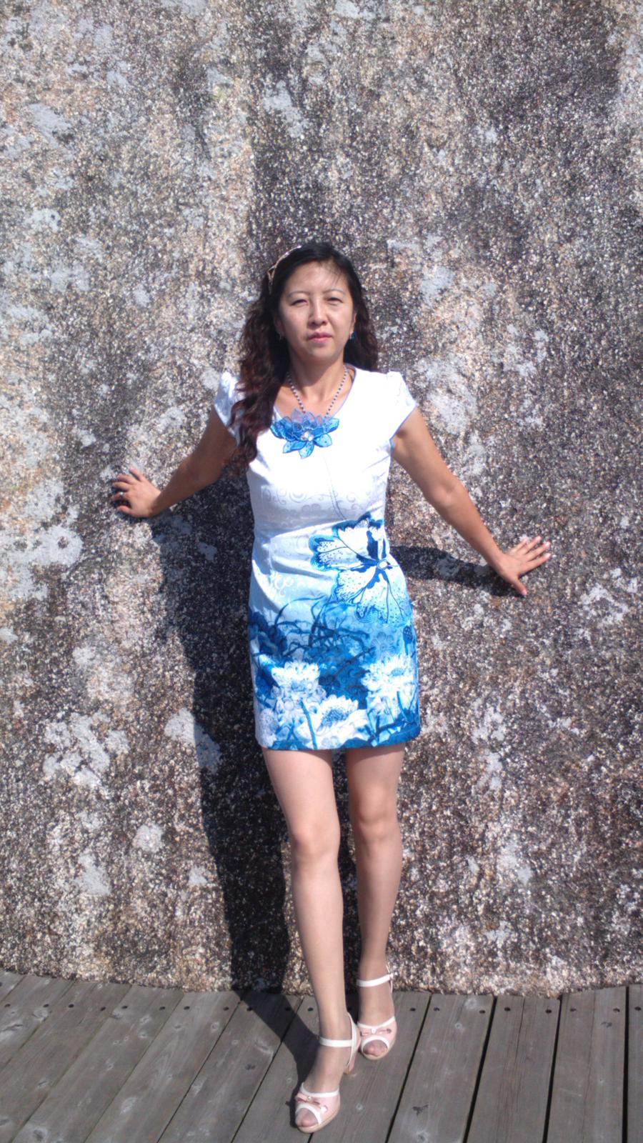 凤凰展翅向南飞