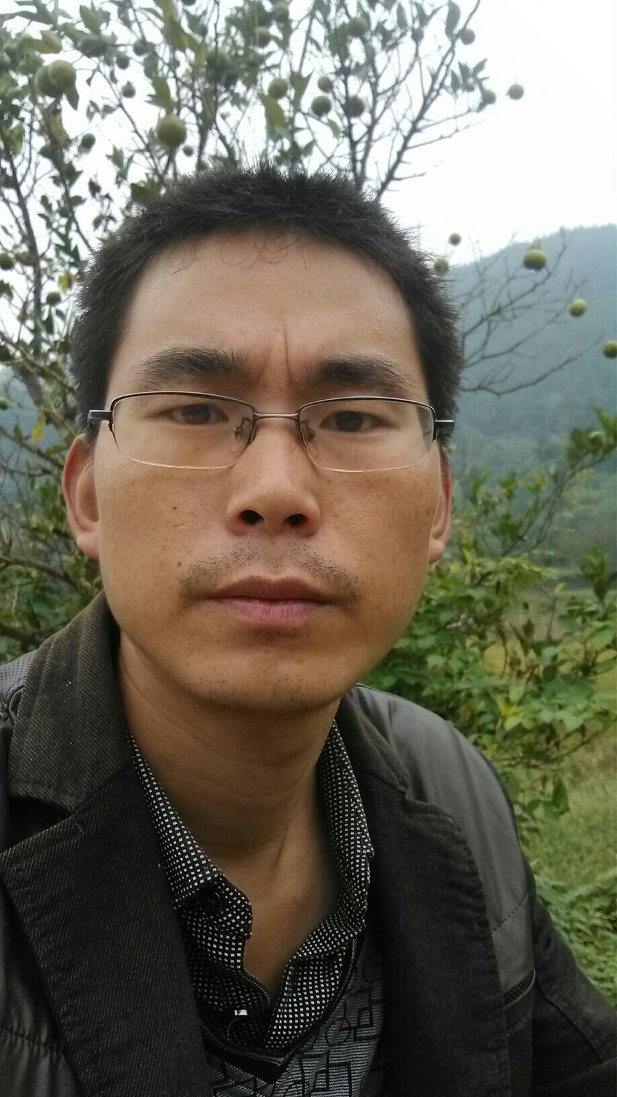 随风而去