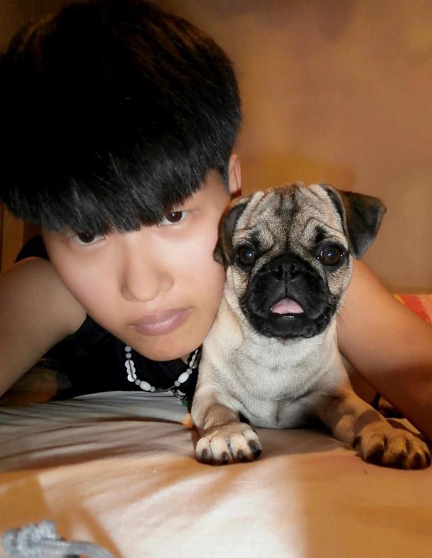 我又在掩饰寂寞