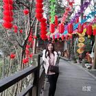 聆子