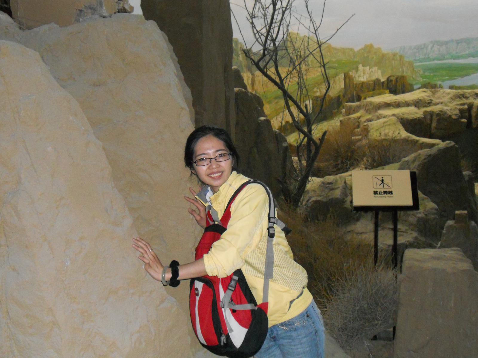 會(huì)員62115086