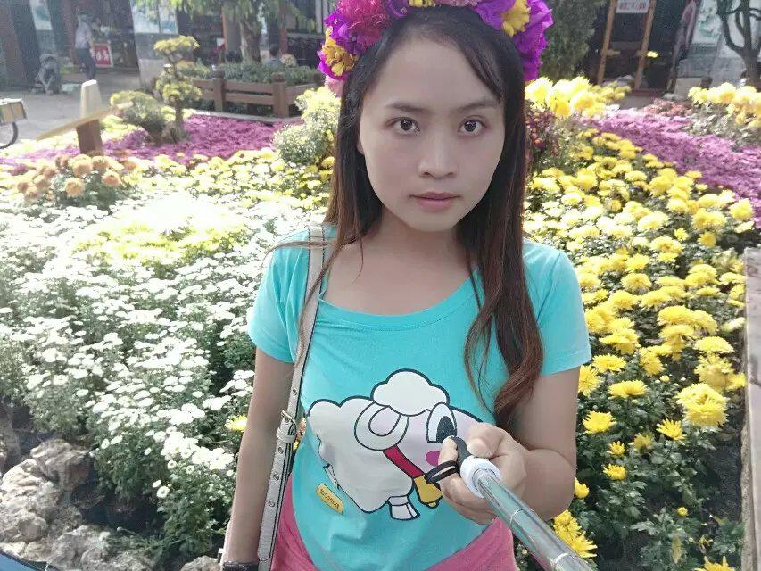 會(huì)員62492462