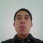 人生若只如初見